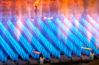 Warninglid gas fired boilers